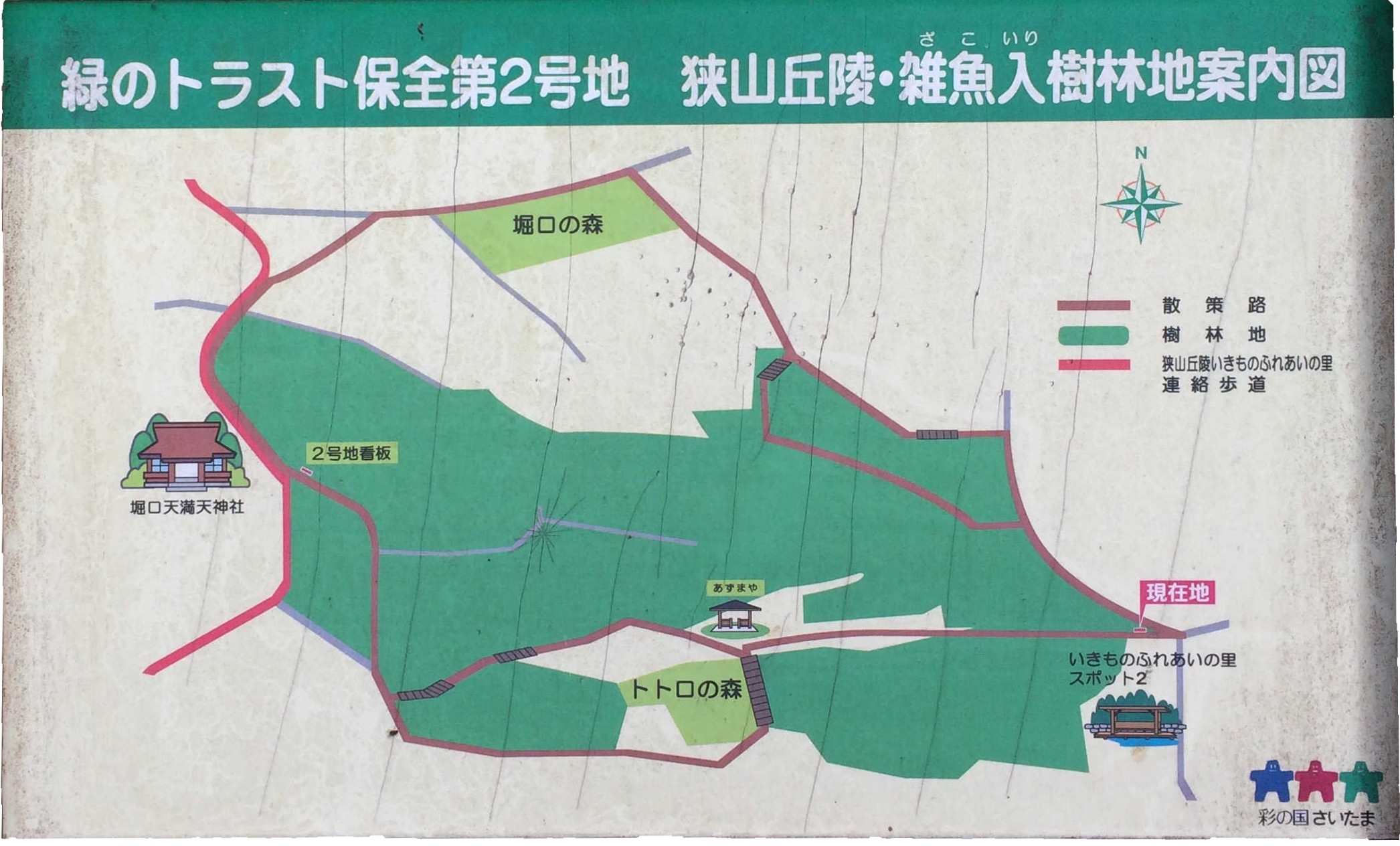 緑のトラスト保全 第２号地　狭山丘陵・雑魚入樹林地案内図